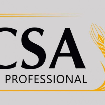 CSA Professional